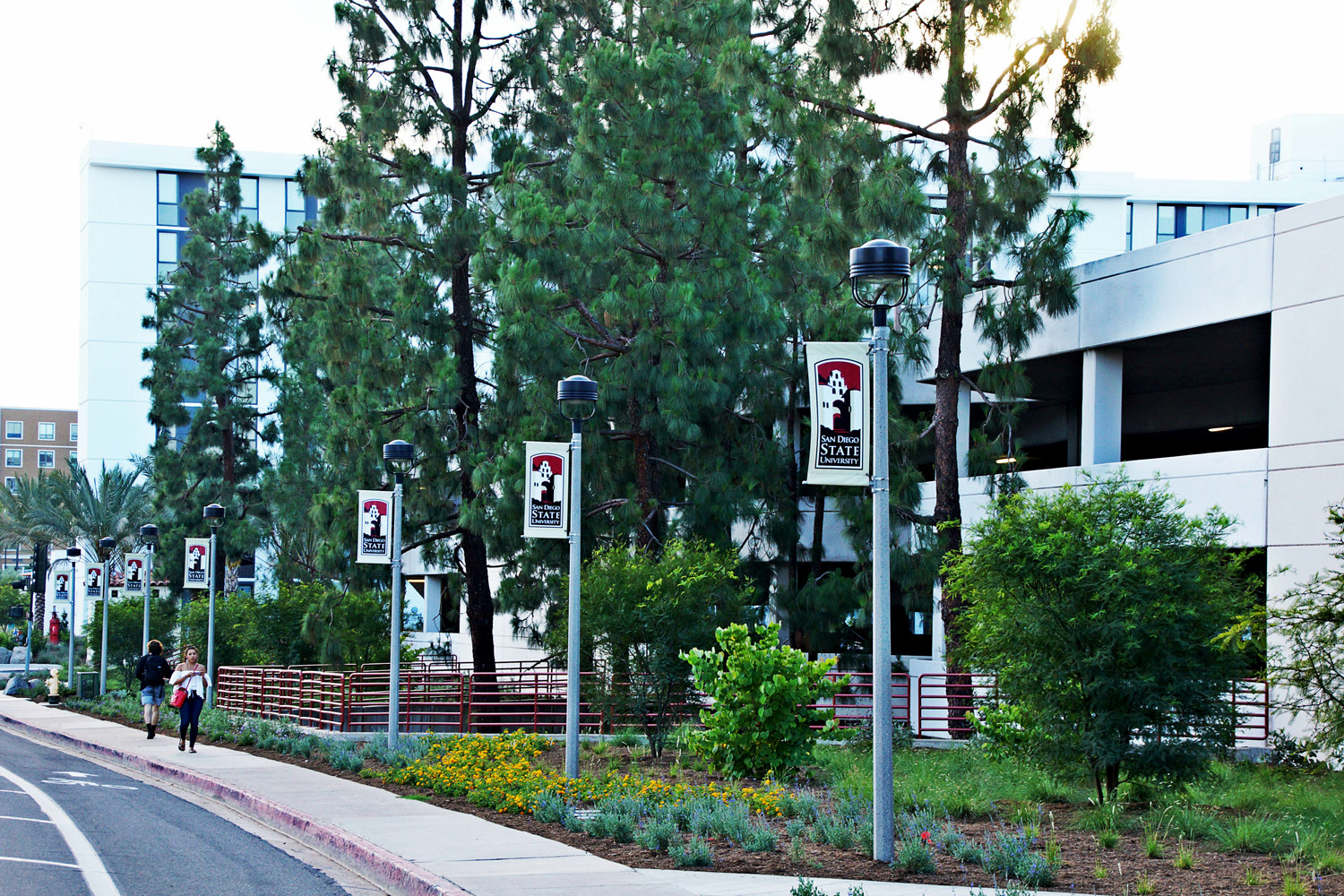 aaDSC05863-opt.jpg
