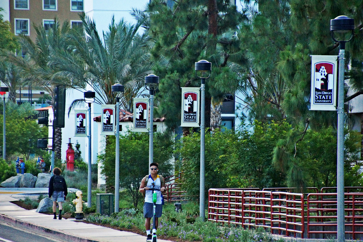 aaDSC05867-opt.jpg