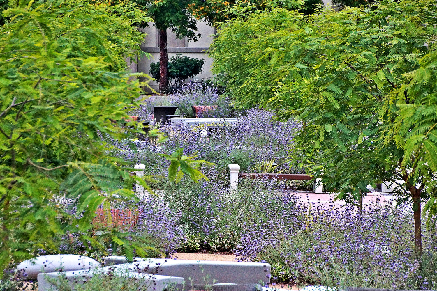 mccullough-SDSU-Centennial-Mall-01.jpg