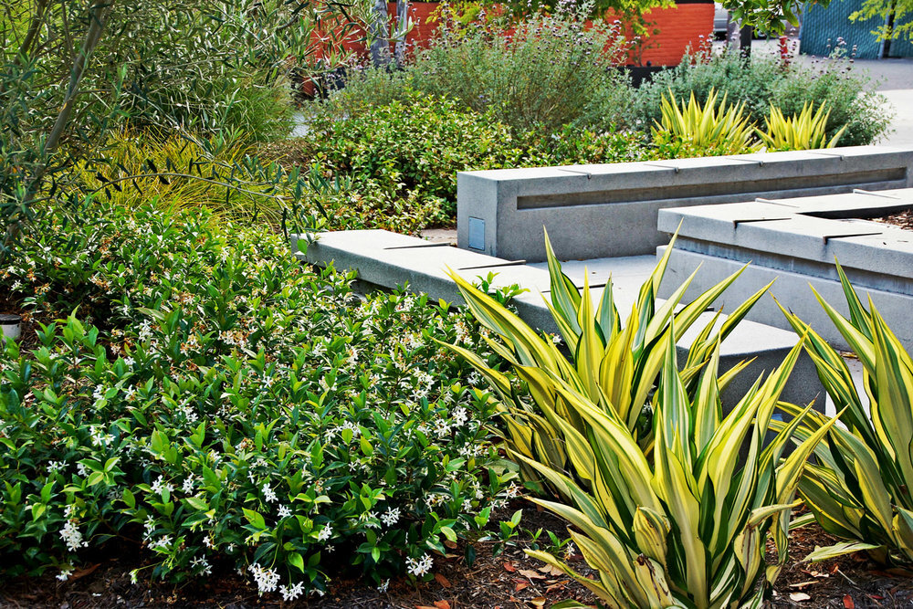 mccullough-SDSU-East-Campus-Drive-05.jpg