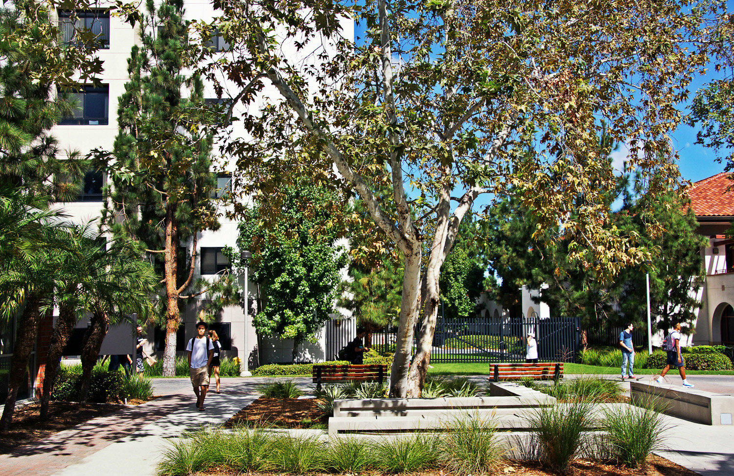 mccullough-SDSU-Aztec-Walk-East-02.jpg