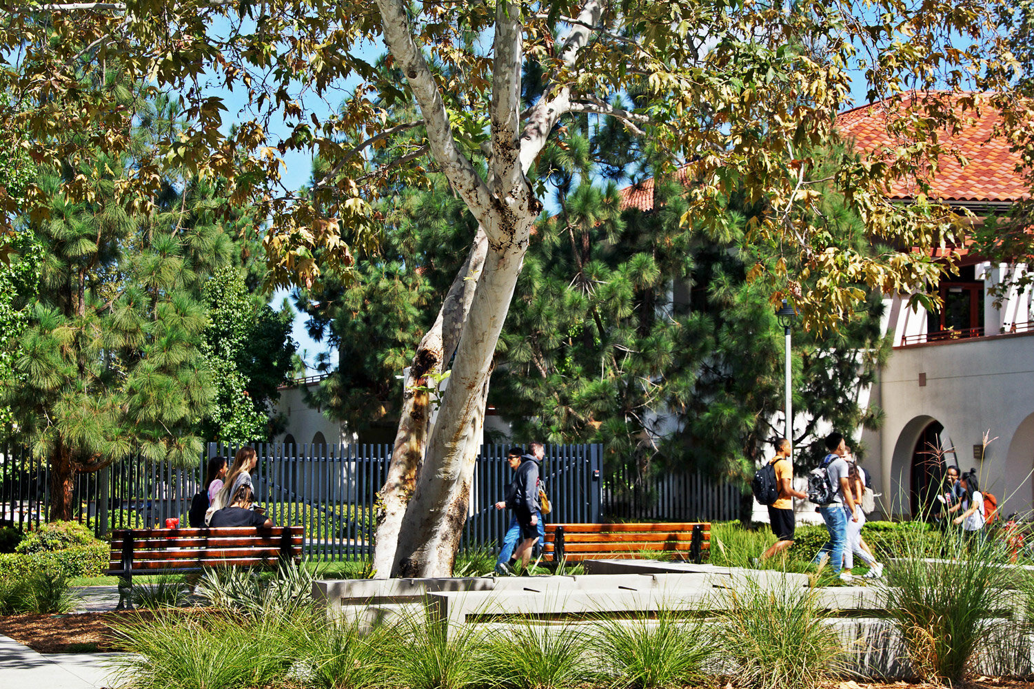 mccullough-SDSU-Aztec-Walk-East-03.jpg