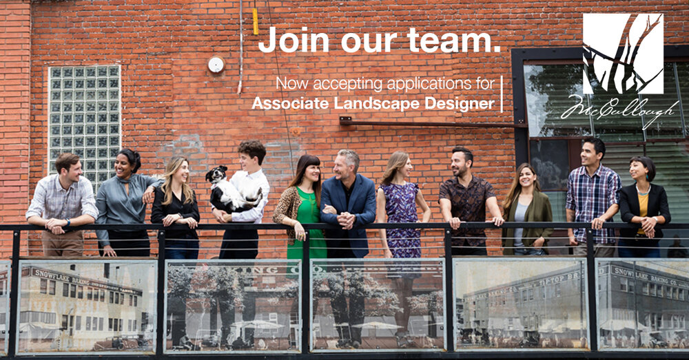 mccullough-join-our-team-blog.jpg