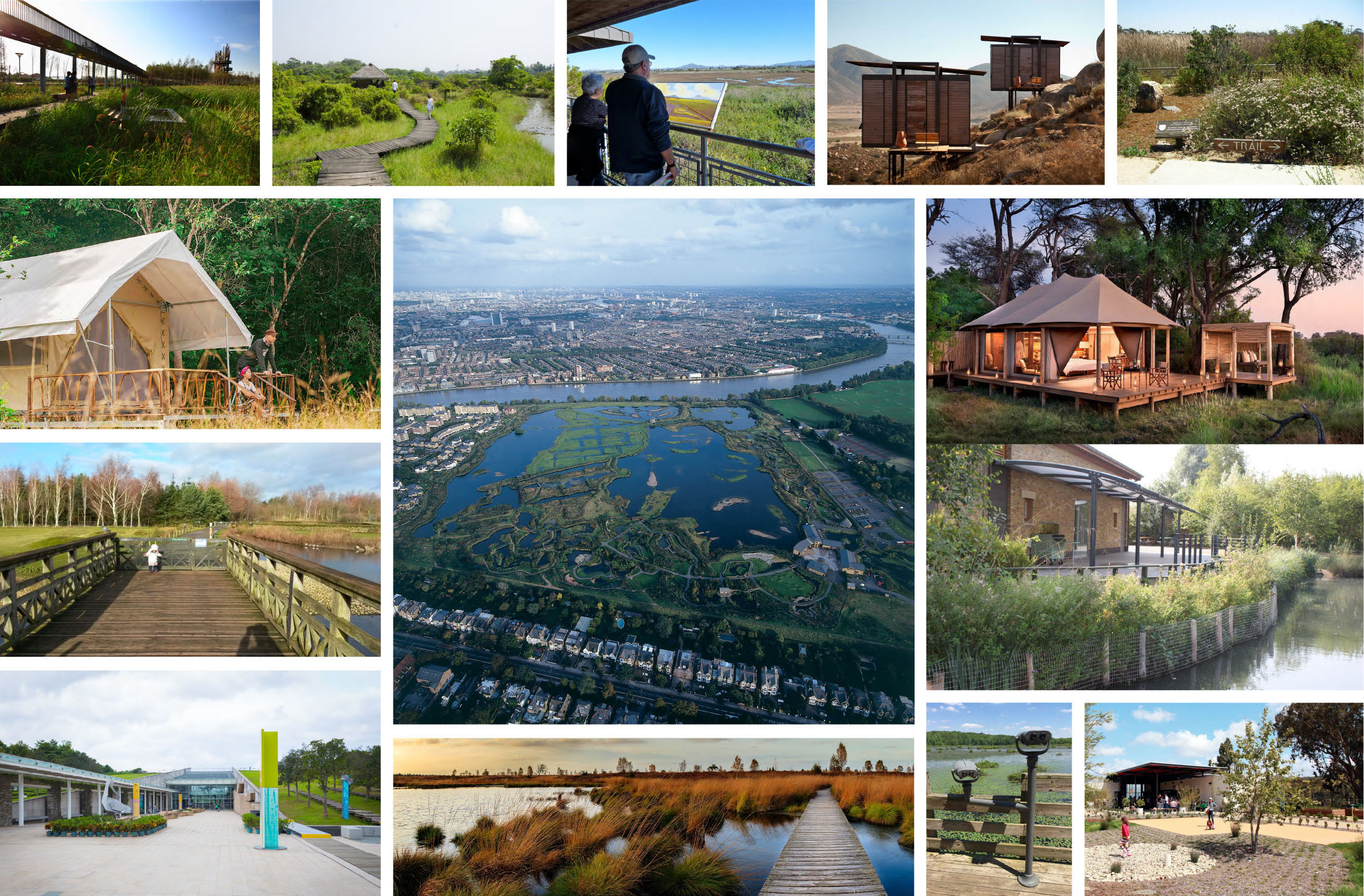 Mission Bay Rewild - Collage(cropped).png