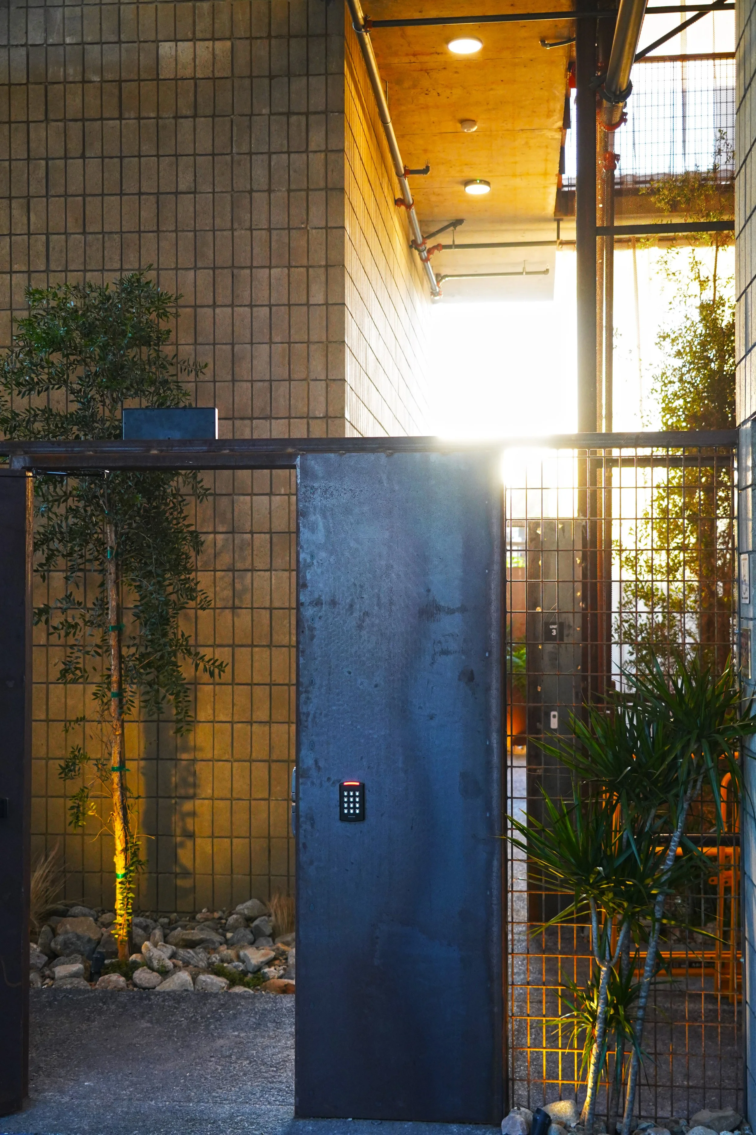 aaDSC09523.jpg