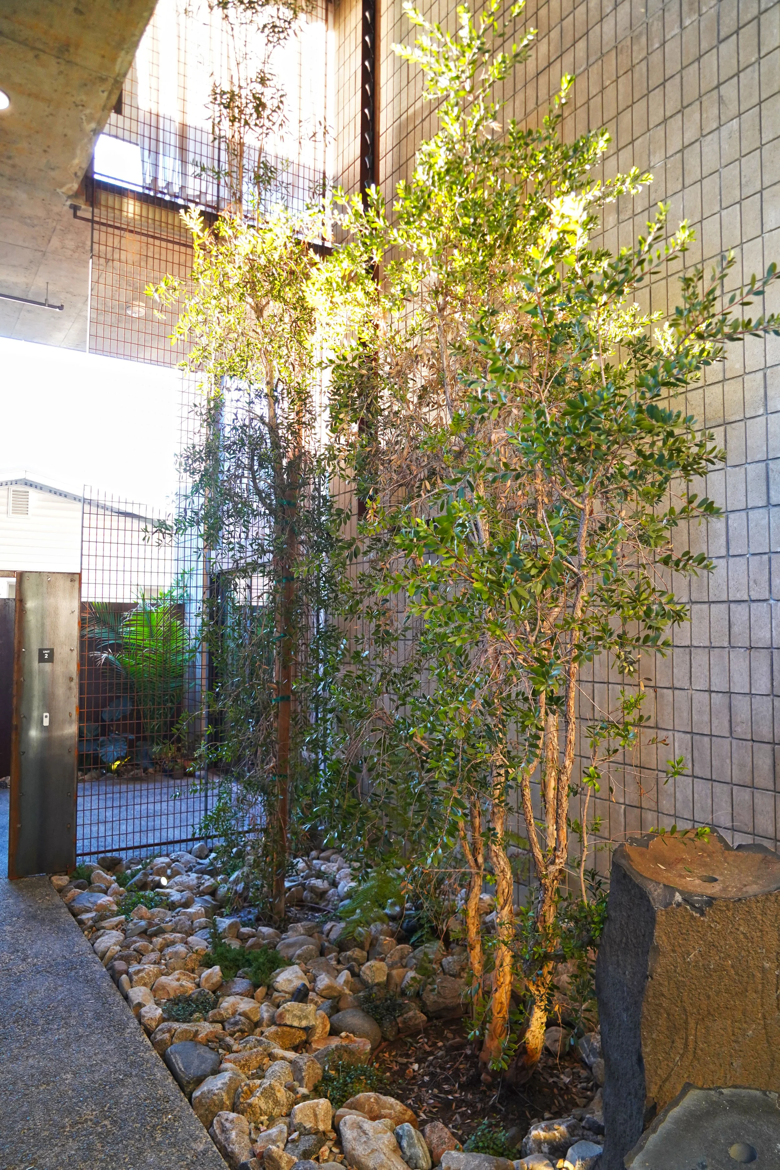 aDSC09497.jpg