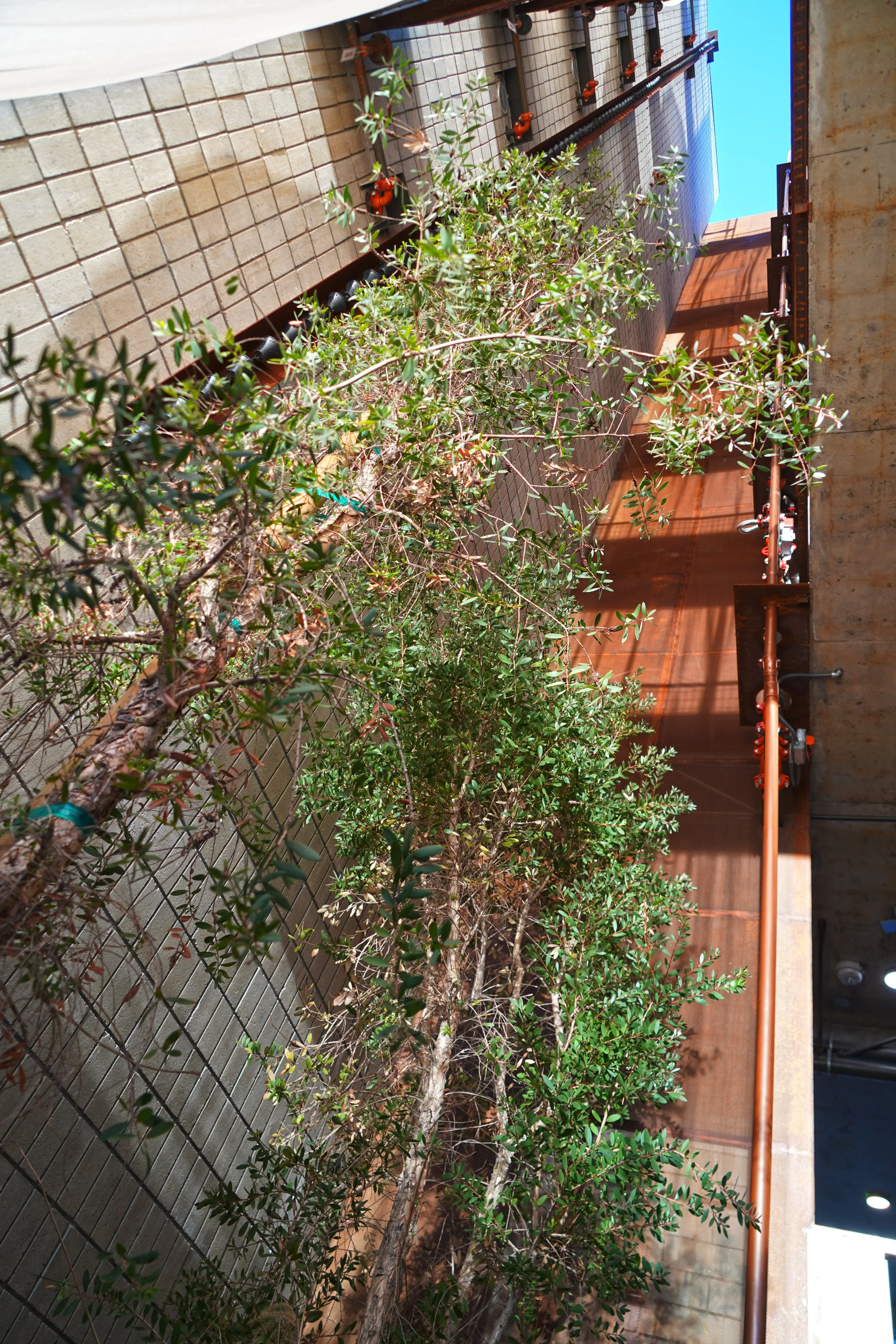 aDSC09503.jpg