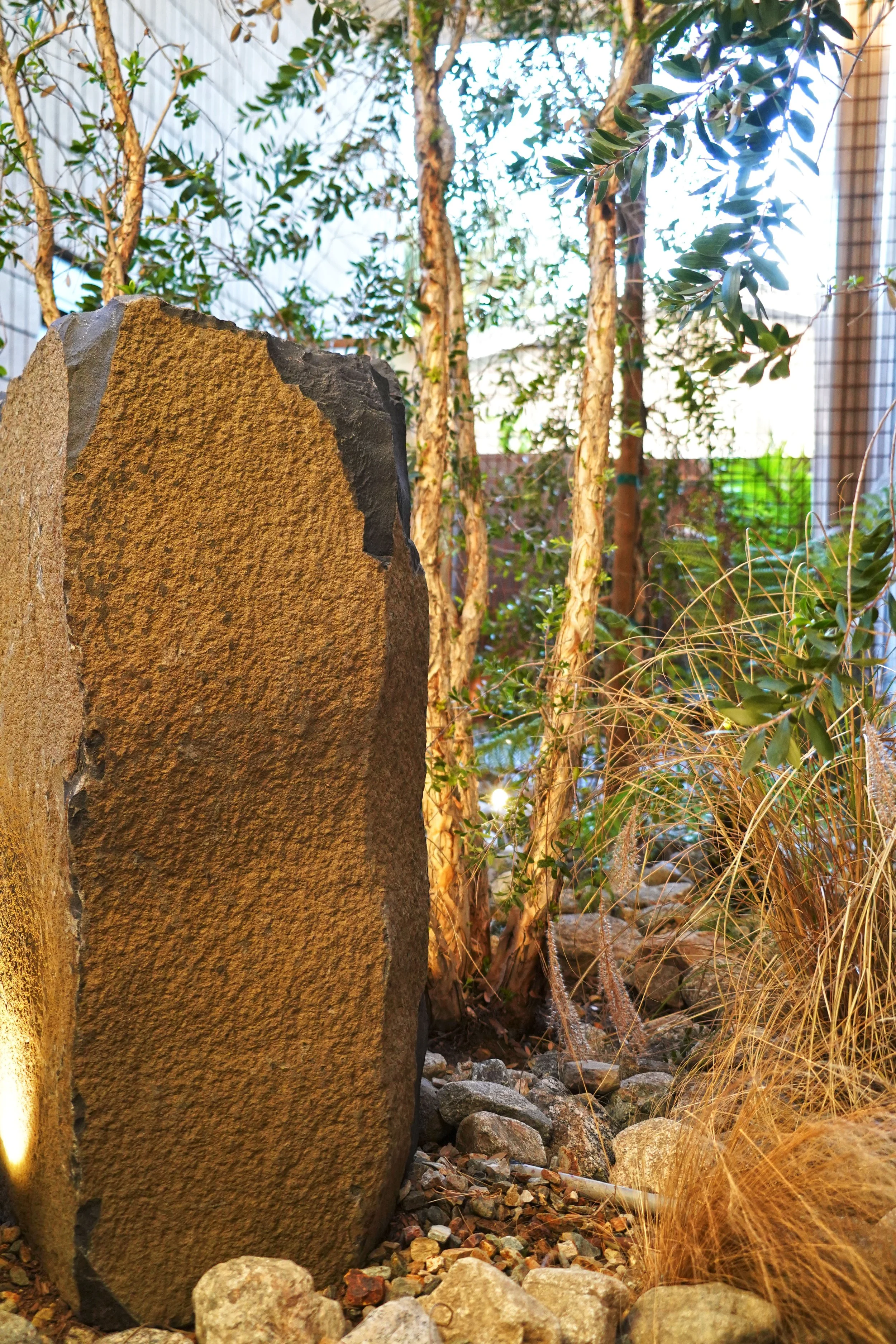 aDSC09507.jpg