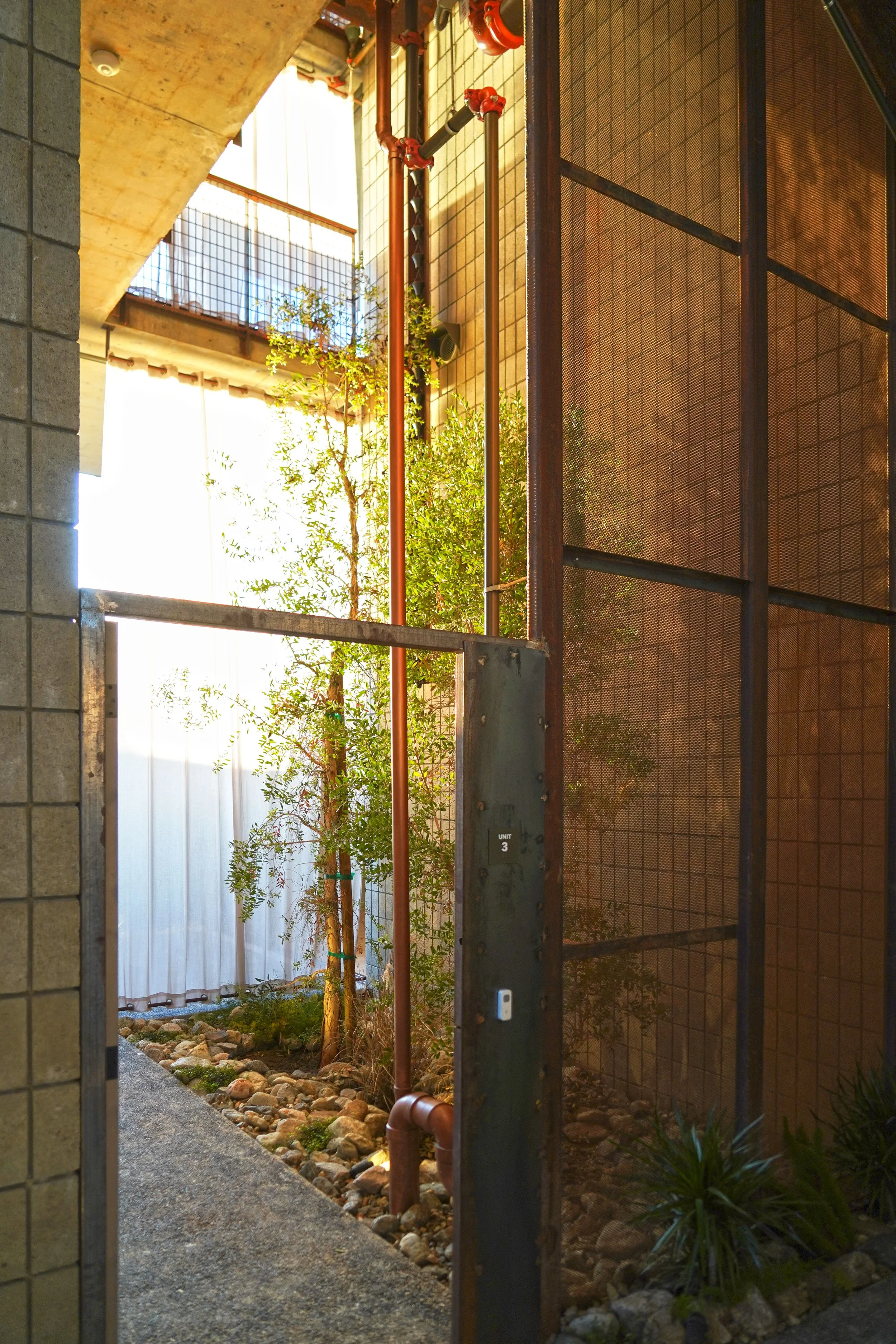 aDSC09524.jpg