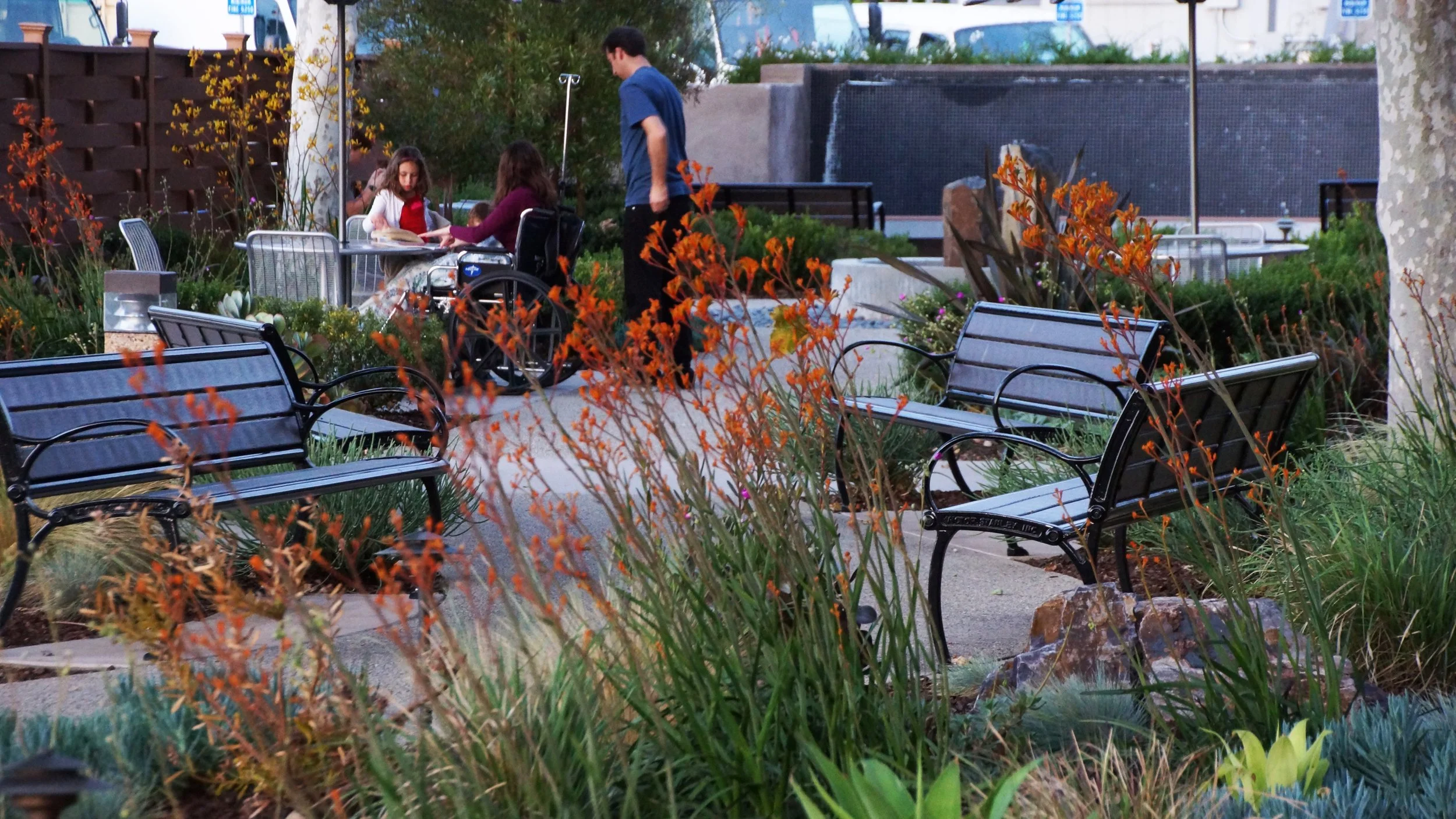 San Diego Medical Center Healing Garden — McCullough | San Diego