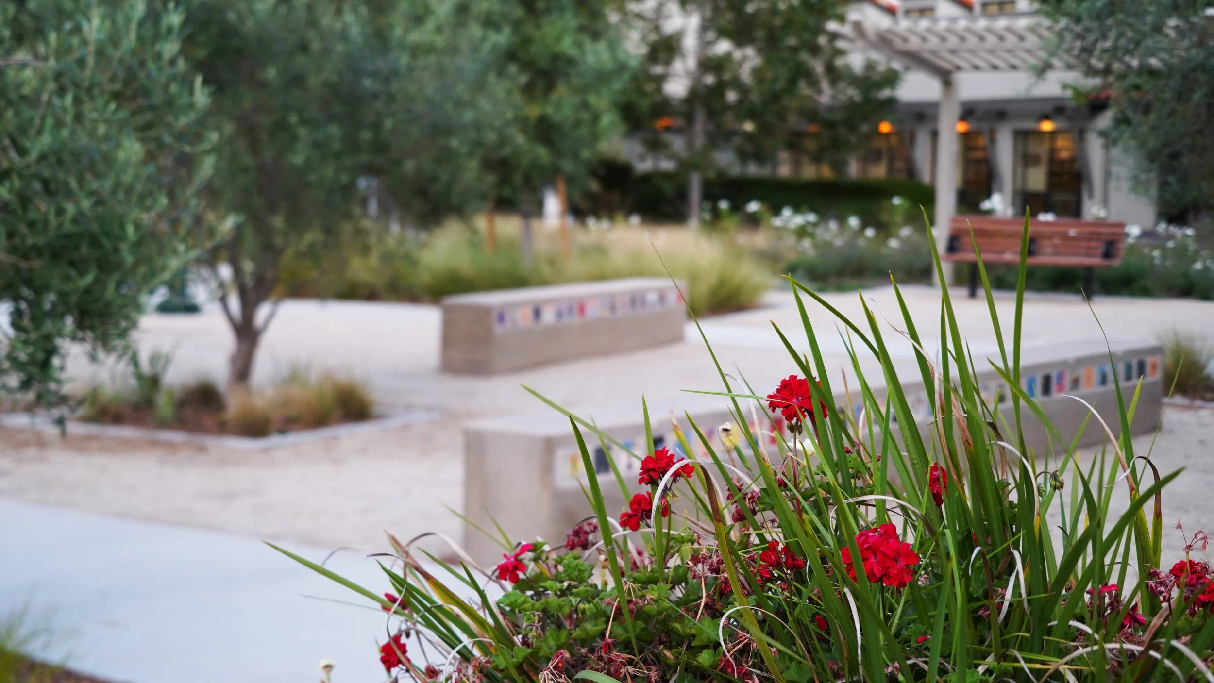 Poway Commons Town Center Plaza Park — McCullough San Diego