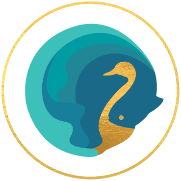 swan test#2.png