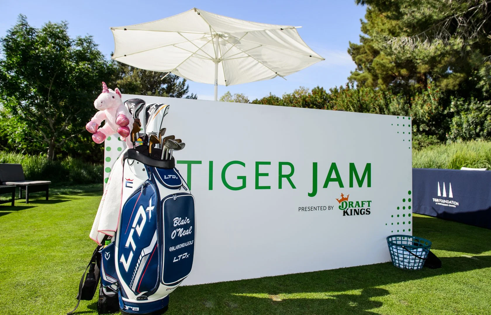 20220430_TIGER-JAM_SELECTS_BH-0256.jpg