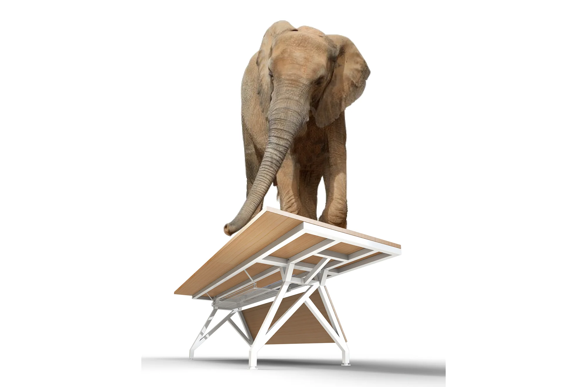 Elephant-EYhov Sn.jpg