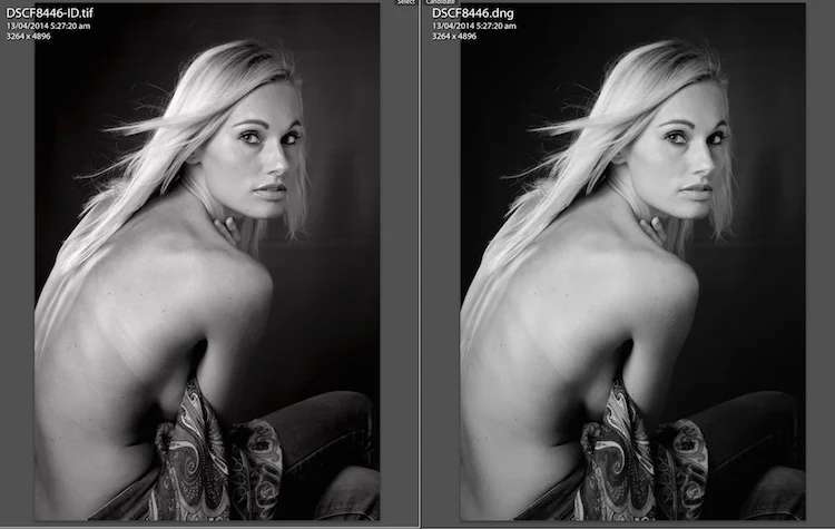 Tif exported from Iridient on the left, LR 5.4 on the right