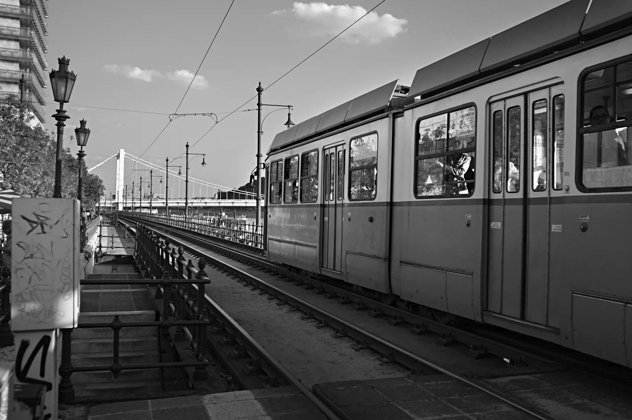 DSCF1227.jpg