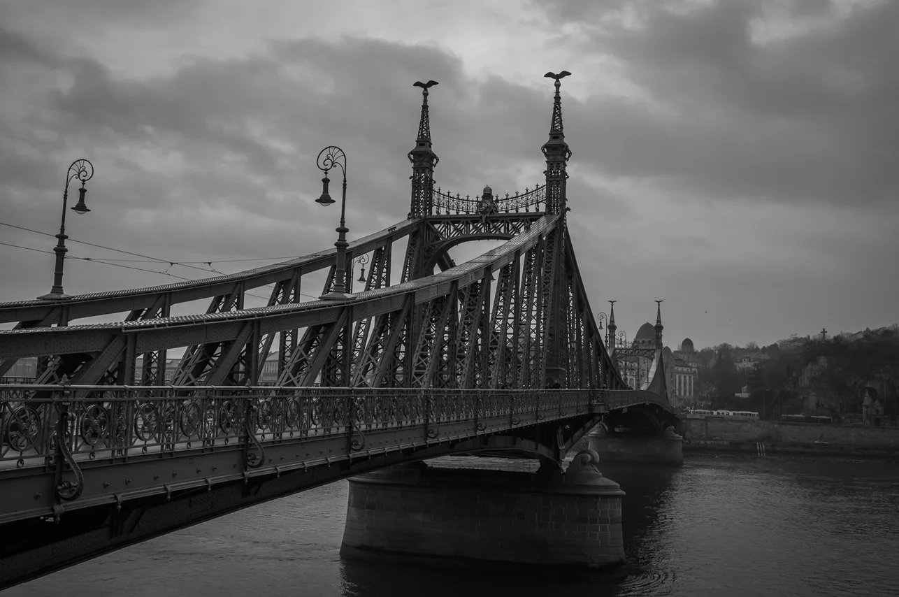 DSCF4721.jpg