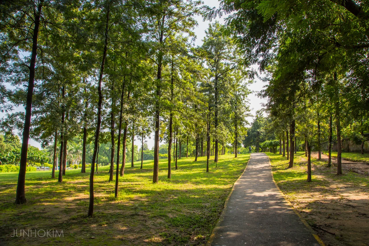 Nehru Park walk path