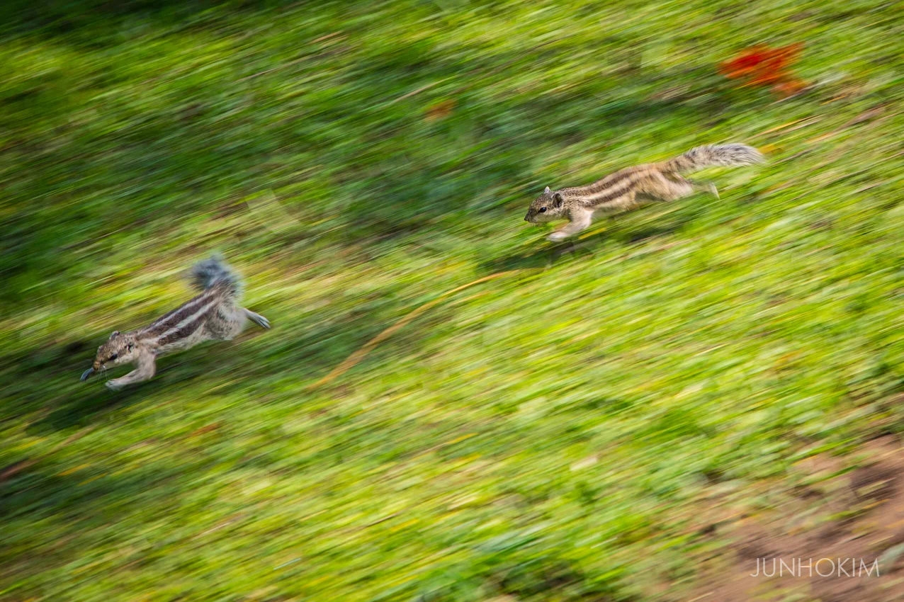 Runners
