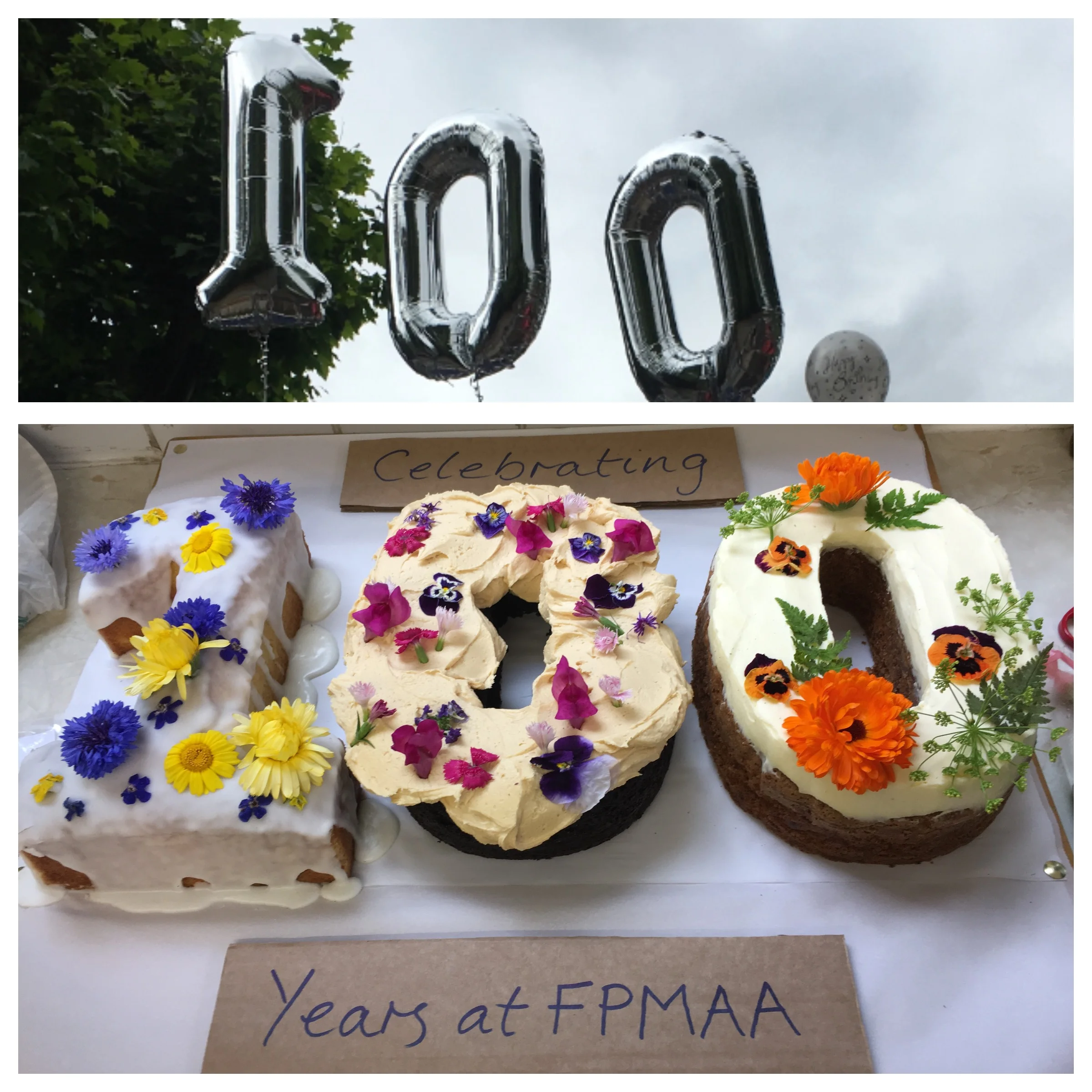 Centenary Cake FPMAA.JPG