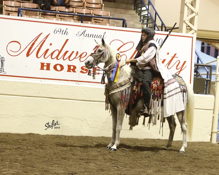 Midwest Charity Horse Show