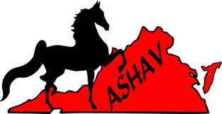 ASHAV Horse Show