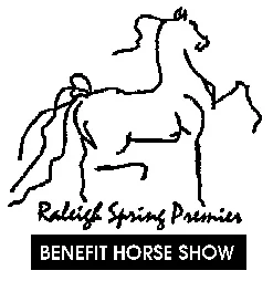 Raleigh Spring Premier 