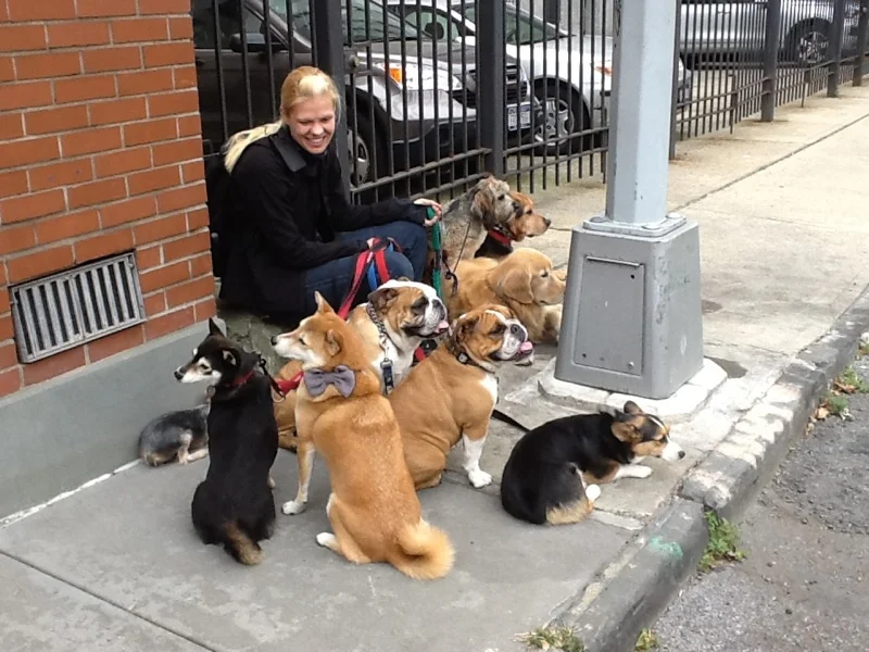 DogDuty2000.jpg