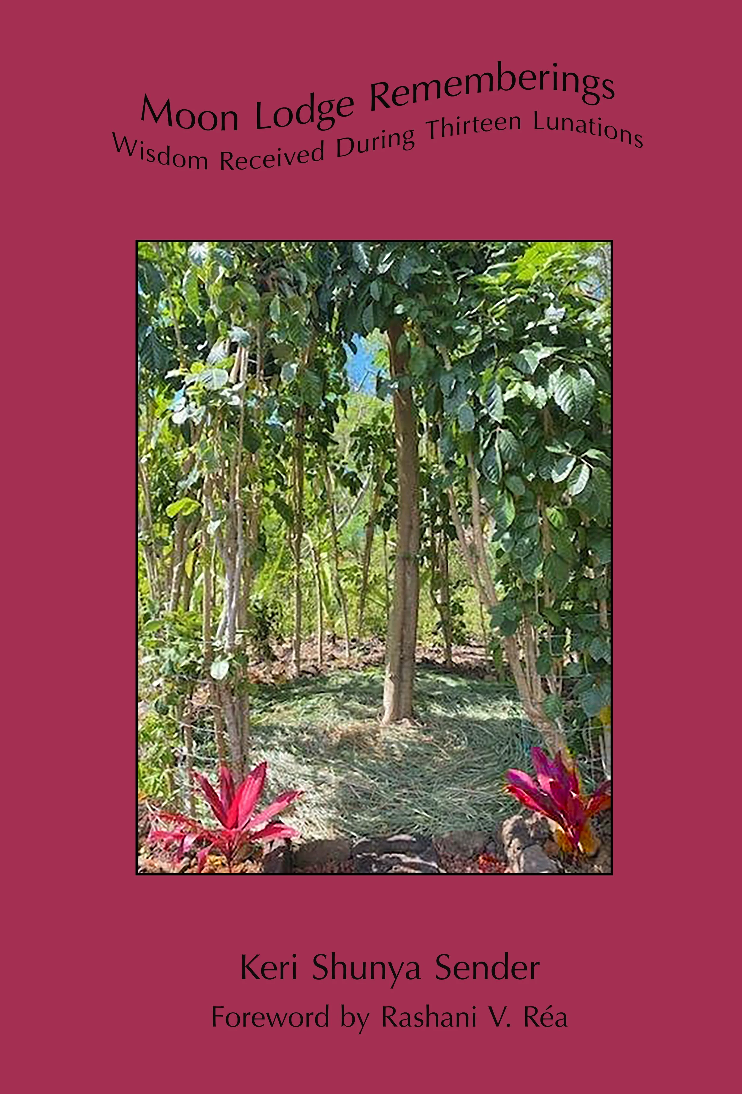 COVER,5 RGBcopy copy.jpg