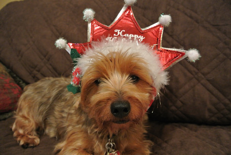 happyholidays1_01.JPG