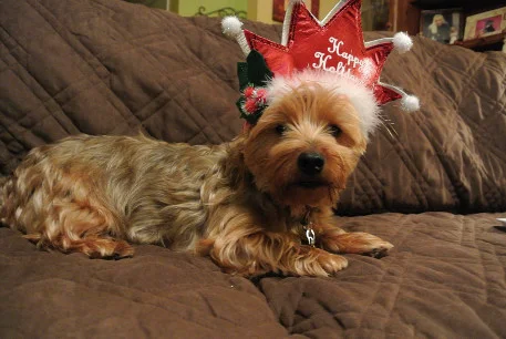 happyholidays4_01.JPG