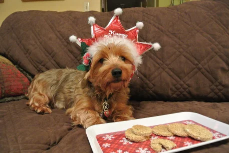 happyholidays2_01.JPG