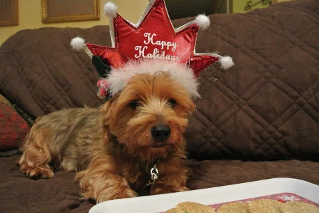 happyholidays3_01.JPG