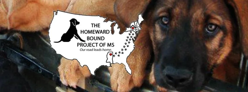HomewardBoundofMS.jpg
