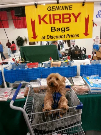 Kirbyvacuumflea_01.JPG