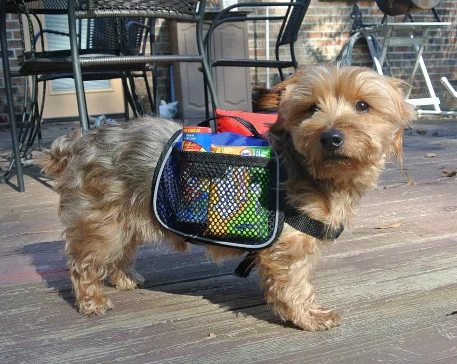 Doodiepack4_01.JPG