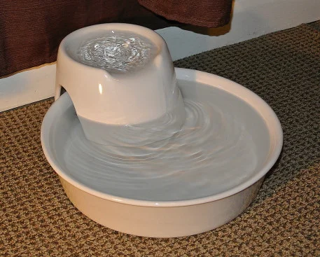 fountain1_01.JPG
