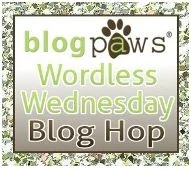 BlogPaws Hop.jpg