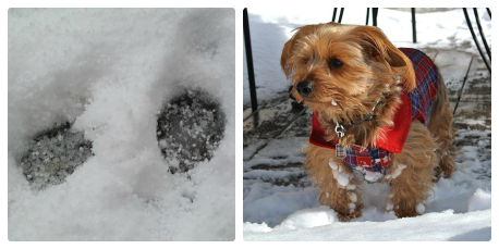Snowplay2 Collage.png