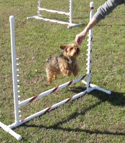 Jump1_01.JPG
