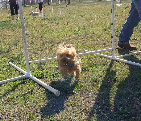 Jump2_01.JPG