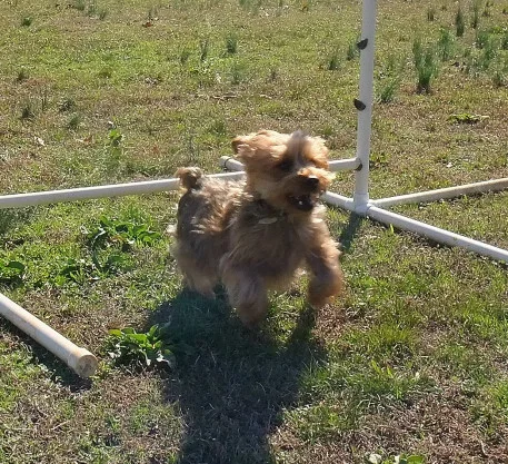 Jump3_01.JPG