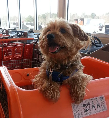 homedepot.jpg
