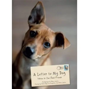 Lettertomydog.jpg