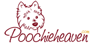 poochieheaven.png