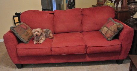 couch1_01.JPG