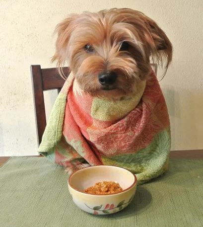 Porridge4_01.JPG