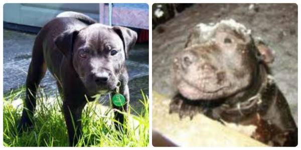 Before & After