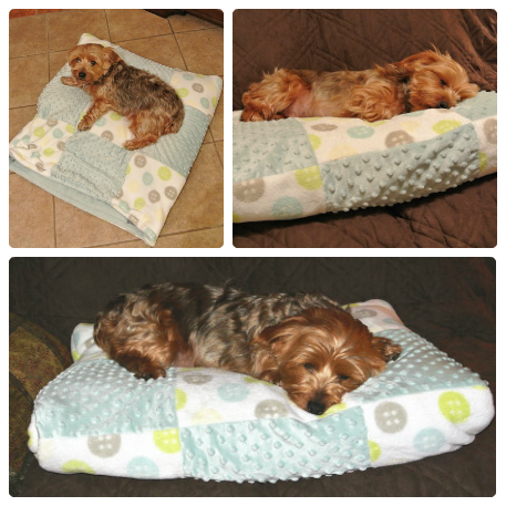 dog snuggle sack