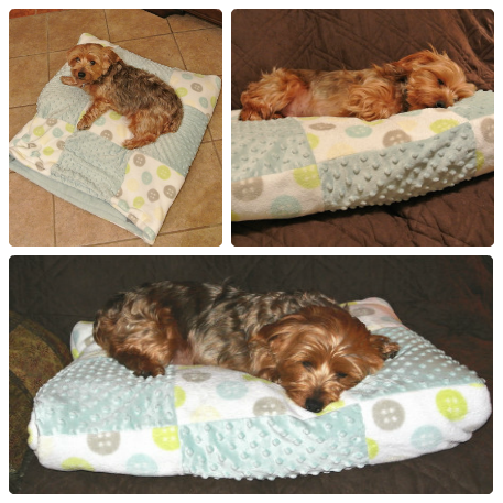 small dog snuggle sack